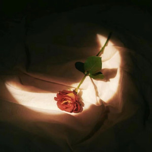 女人交配真实高潮视频
